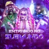 DJ MAGRO、Mc Toy、Mc Erikah - ENTRANDO NO SUBMUNDO (Explicit)