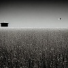 REDRUM - Guard