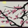 是钟意吕呀 - 一剪梅 (真情像草原广阔)