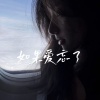 相哲 - 如果爱忘了
