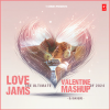 Akhil、Dhvani Bhanushali、Payal Dev、Vishal Mishra、Guru Randhawa、Asees Kaur、Ved Sharma、Sachet Tandon、Arijit Singh、Abhijit Vaghani、Vishal Shelke、The Fusion Project、Pritam、Manan Bhardwaj、Amaal Mallik、DJ BASQUE - Love Jams The Ultimate Valentine Mashup Of 2024