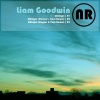 Liam Goodwin - Chiriqui (Original Mix)