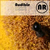 audible - Forever