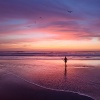 Canciones del Atardecer、Sonidos Relajantes de Agua、Sonidos de Lluvia ASMR - Reflejando Tranquilamente La Calma
