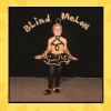 Blind Melon - Soak The Sin
