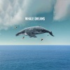 Sounds of the Sea - Surrounded By Nature