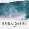 王寅观 - 再见爱人 (纯音乐)
