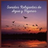 Sonidos De Aves - Sonidos Relajantes de Agua y Pajaros (01)