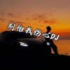 DJ阿鹏 - 别怕我伤心 (DJ阿鹏 remix)