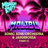 Sonic Soul Orchestra、Jaegerossa - Malibu (Nu Disco Vocal Mix)