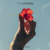 空间 - 伤心剖半 (疗愈版)