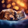 Música fácil de domingo por la mañana、Relajar Mascota、Terapia de calma para animales de compañía - Melodías Relajantes Para Mascotas