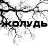Sabadash - Жолудь