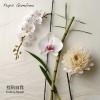 Pops Gambino - 找到自我 (Zhǎodào Zìwǒ) Finding Myself (Version 1)