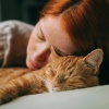 Analogía de la comedia、Música para dormir Gatos、Cascada ruido blanco - Melodías Suaves Y Calmantes Para Gatos