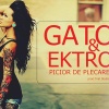 Ektro、GATO - PICIOR DE PLECARE (feat. Ektro)