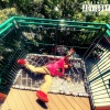 MIZU - WingStop (Explicit)