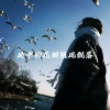 听风起 - 即兴