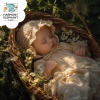 Calming Bedtime - Cozy Nest
