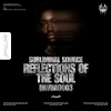 Subliminal Source - Reflections Of The Soul (Original Mix)