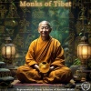 Satorio、Monk Healing Tones、Manifestation Frequencies - Whispers of the Eternal Peak