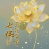 霄雯 - 七佛灭罪真言