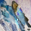 ROSE FROM THE ASH、KC MADDUX - DINI (feat. KC MADDUX)(Explicit)