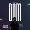 NSCHAN - DOM (Special Version)(Explicit)