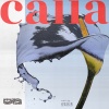 wave to earth - calla