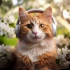 Basic Happiness、Relaxing Music for Cats Radio、Cosy Kittens - Cat's Peaceful Tune
