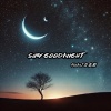 MaksJ马克斯 - Say Goodnight