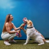 Domingo por la tarde、Asistente de paz para criaturas、Paz y armonía animal - Tonos De Juego De Mascotas
