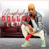 dollar - Amaphupho