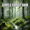 Sleep Sounds of Nature - Gentle Rain Sounds