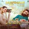 Vishal Mishra - Marham (Pehle Bhi Main)