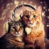 Brain Waves Music Academy、Cat Meditation Music Collective、Total Cat Relaxation - Restful Feline Path