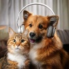 Luminous Chakra Waves、Music for Pets Bgm、RW Anti Anxiety Music for Pets - Blissful Musical Sounds