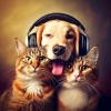 Static Mind、Pet Chillout Music、Relaxing Pet Music - Pets Relaxing Harmonies