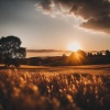 Miracle Sounds、Relaxing Restaurant Music Relaxation、Relaxing Restaurant Music Zones - Music Dives Deeply Calming