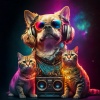 Lofi For Energy、Music Thats Helped Millions Of Pets、Deluxe Music for Pets - Beats Soothe Furry Friends