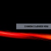 Sandy Lee - I knew I loved you