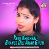 Sandhya Mukherjee、Biswanath Sahis - Kene Khechrai Bhange Dili Amar Ghum