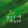 一只白羊 - 像荒草一样野蛮生长
