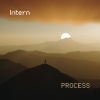 Intern - Process