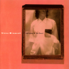 Steve Winwood - You'll Keep On Searching