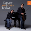 Renaud Capuçon、Frank Braley - Violin Sonata No. 1 in D Major, Op. 12 No. 1: I. Allegro con brio