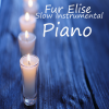 Instrumental Music Group - Für Elise (致爱丽丝)