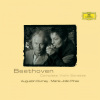 Augustin Dumay、Maria João Pires - Beethoven: Violin Sonata No. 1 in D Major, Op. 12, No. 1: I. Allegro con brio