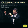 Chamber Orchestra Of Europe、Claudio Abbado - I. Allegro moderato (B小调第8号交响曲，作品759“未完成” - 第一乐章 中庸的快板)