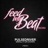Pulsedriver - Bring It On Down (Single Mix)